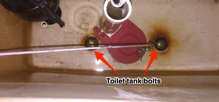 Is Your Toilet Leaking From The Tank Bolts Heres How To Fix It