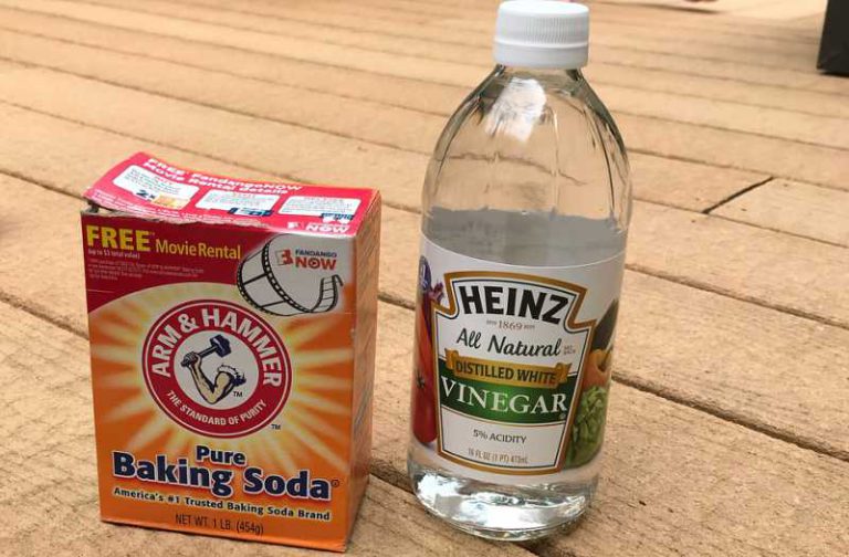 When Your Garbage Disposal Smells, Rid the Odor with These Easy Steps