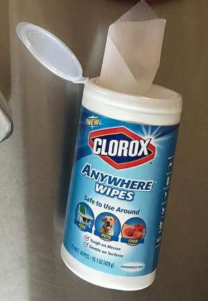 Clorox wipes outlet safe for pets