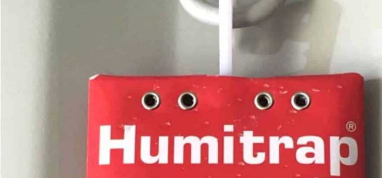 How to Get Rid of Humidity in a Basement Without a Dehumidifier (9)