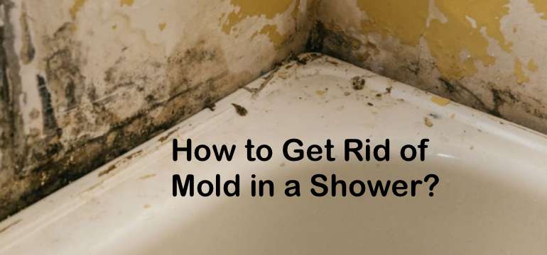 How To Get Rid Of Mold In A Shower