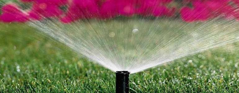 Lawn Best Ways to Save and Drought Tips