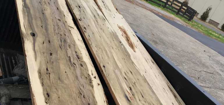 dark stained poplar wood