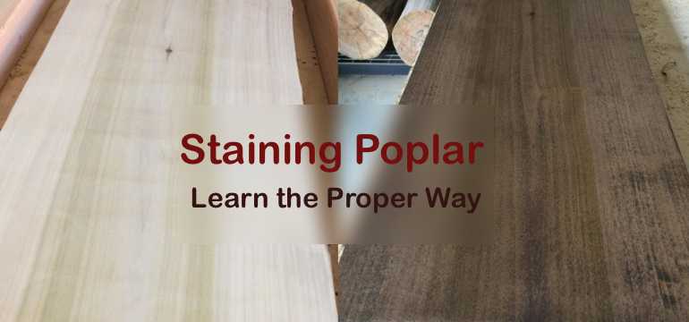 Download Staining Poplar: Helpful Tips