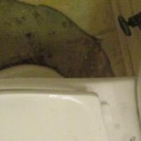 toilet leaking from base