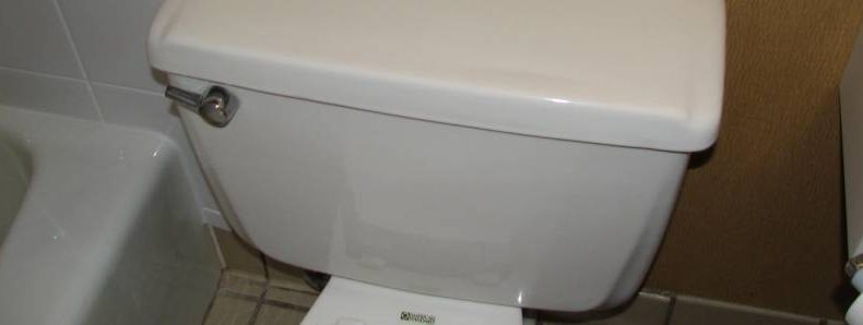 The Basic Guide to Troubleshooting Common Toilet Problems The Basic Guide to Troubleshooting Common Toilet Problems